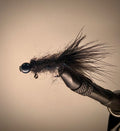 Black balanced leech