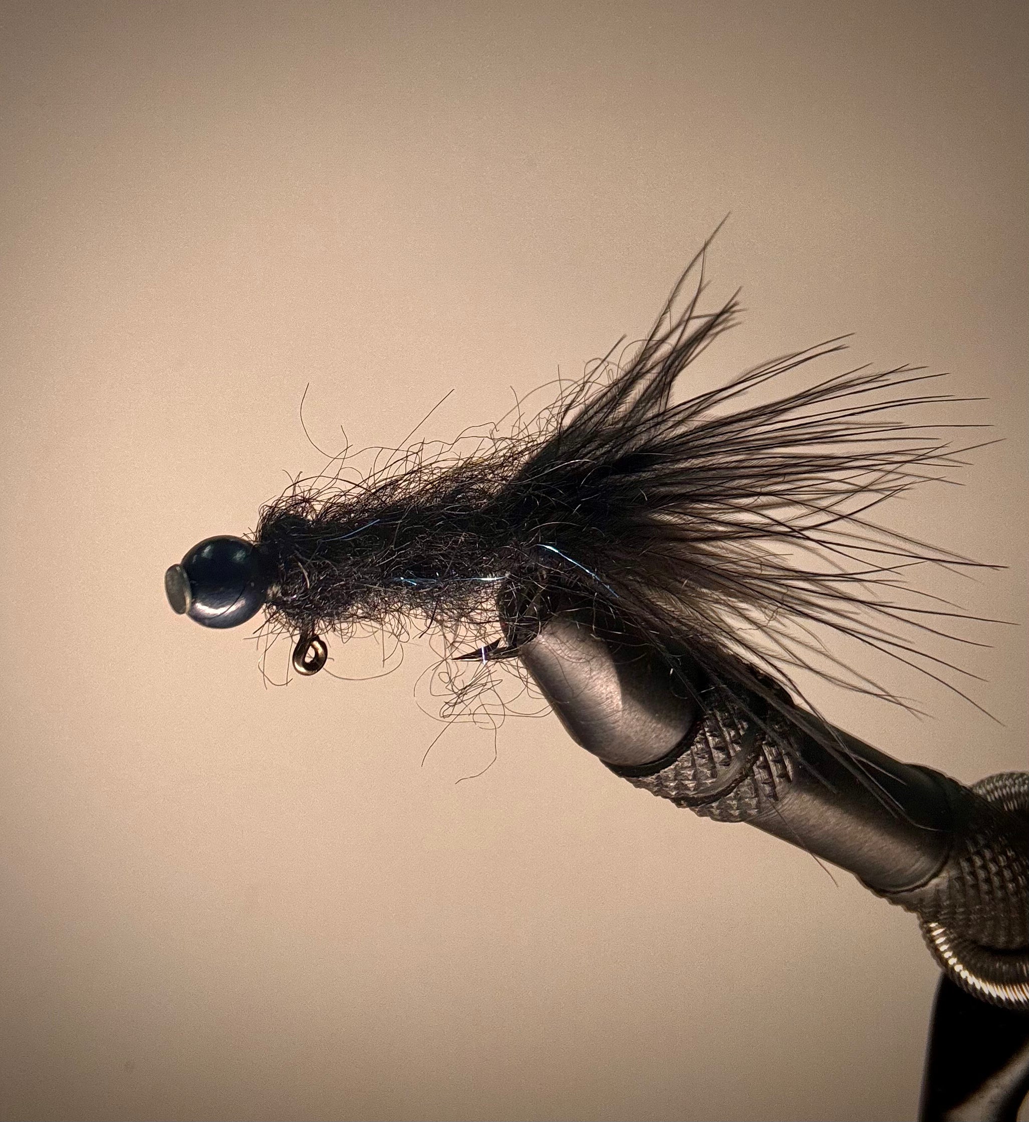 Black balanced leech